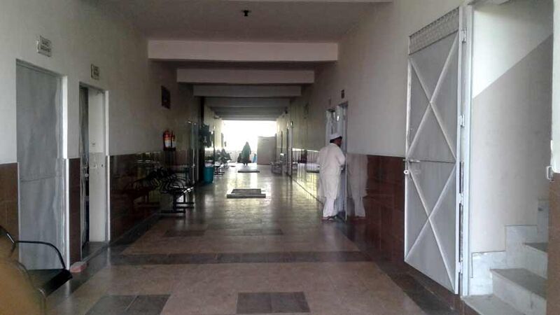 Clinical Faculty & Department Professors